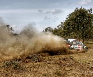 Site4520-ogier-safari21