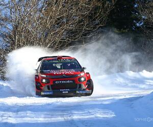 Site1137-ogier-testmc19