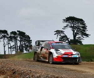 Site1338-ogier-nz22