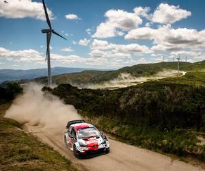 Site5339-ogier-portugal21-rbcp