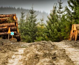 Site9844-ogier-wales17