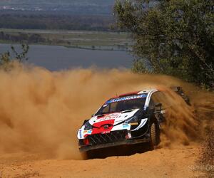 Site4838-ogier-safari21