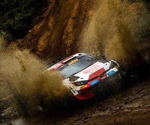 Site1319-ogier-italie23-rbcp