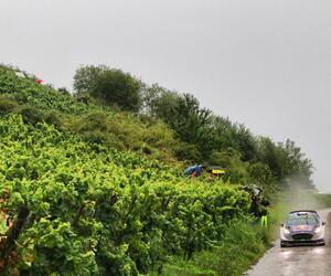 Site-5511-ogier-allemagne17