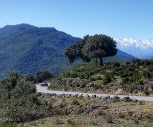 Site5452-ogier-corse19