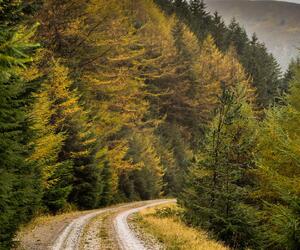 Site9855-ogier-wales17