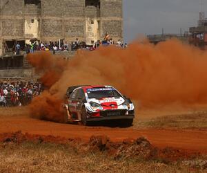 Site4639-ogier-safari21