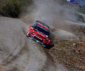 Site4458-ogier-chili19
