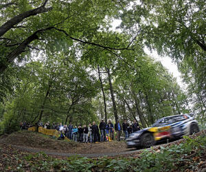 zipallemagne539-ogier-allemagne16