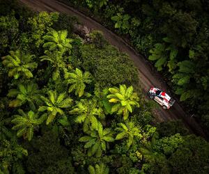 Site1511-ogier-nz22-rbcp