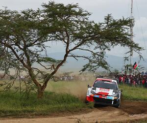Site1442-ogier-kenya23