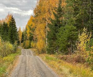 Site1839-ambiance-finlande21