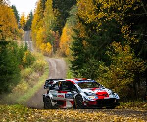 Site1537-ogier-finlande21-rbcp