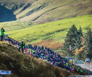 Site9528-ogier-wales17