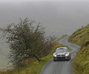 GBR5423-ogier-gbr16