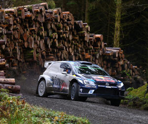 GBR5446-ogier-gbr16