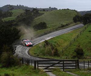 Site1429-ogier-nz22
