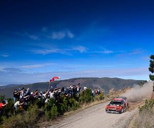 Site4434-ogier-chili19