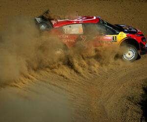 Site6568-ogier-portugal19-rbcp