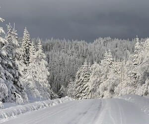 Site7819-ambiance-suede17