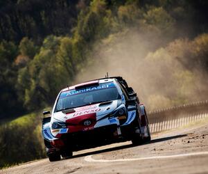 Site4518-ogier-croatie21-rbcp