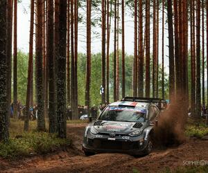 Site1527-ogier-finlande24
