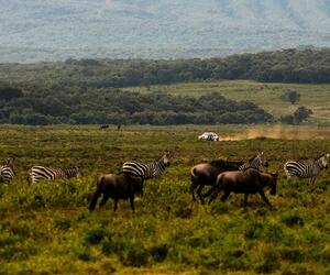 Site1315-ogier-kenya23-rbcp