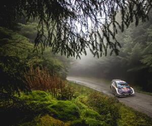 Site5520-ogier-wales18-