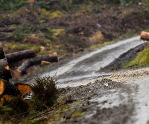 Site9847-ogier-wales17