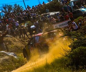 Site5326-ogier-argentine19