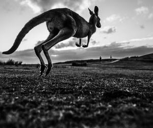 Site6839-ambiance-australie18