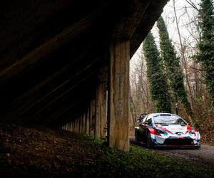 Site4724-ogier-monza20-rbcp