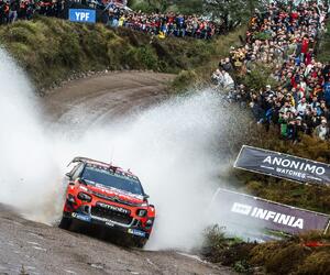 Site5564-ogier-argentine19