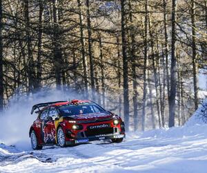 Site1126-ogier-testmc19-rbcp