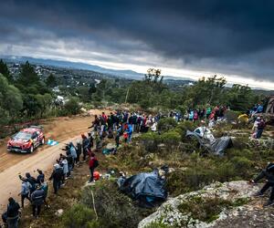 Site5454-ogier-argentine19