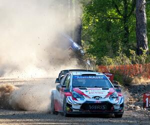 Site4411-ogier-turquie20-rbcp