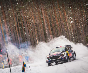 Site7221-ogier-suede17