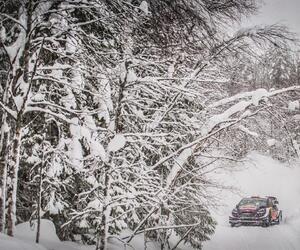 Site3526-ogier-suede18