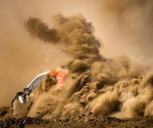 Site4514-ogier-safari21-rbcp