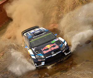 Rally Mexico