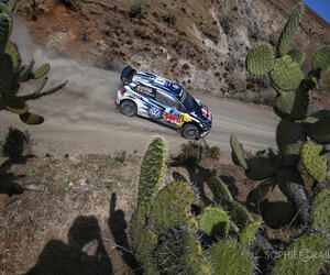 Rally Mexico