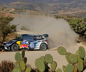 Rally Mexico
