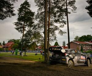Site1620-ogier-finlande24