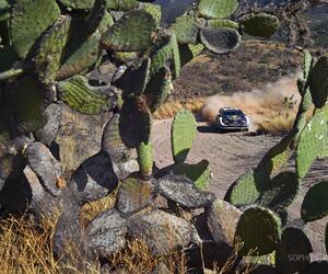 Site5538-ogier-mexique18