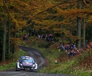 Site9734-ogier-wales17