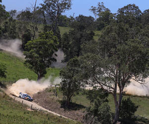 AUS4524-ogier-australie16