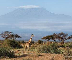 Site1840-ambiance-kenya23