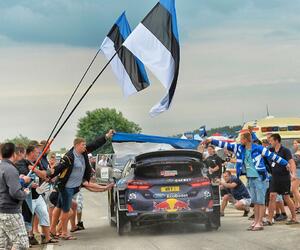 Site3611-ogier-pologne17