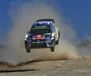 Rally Mexico