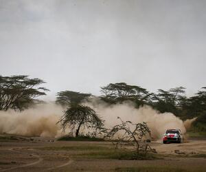 Site1340-ogier-kenya23